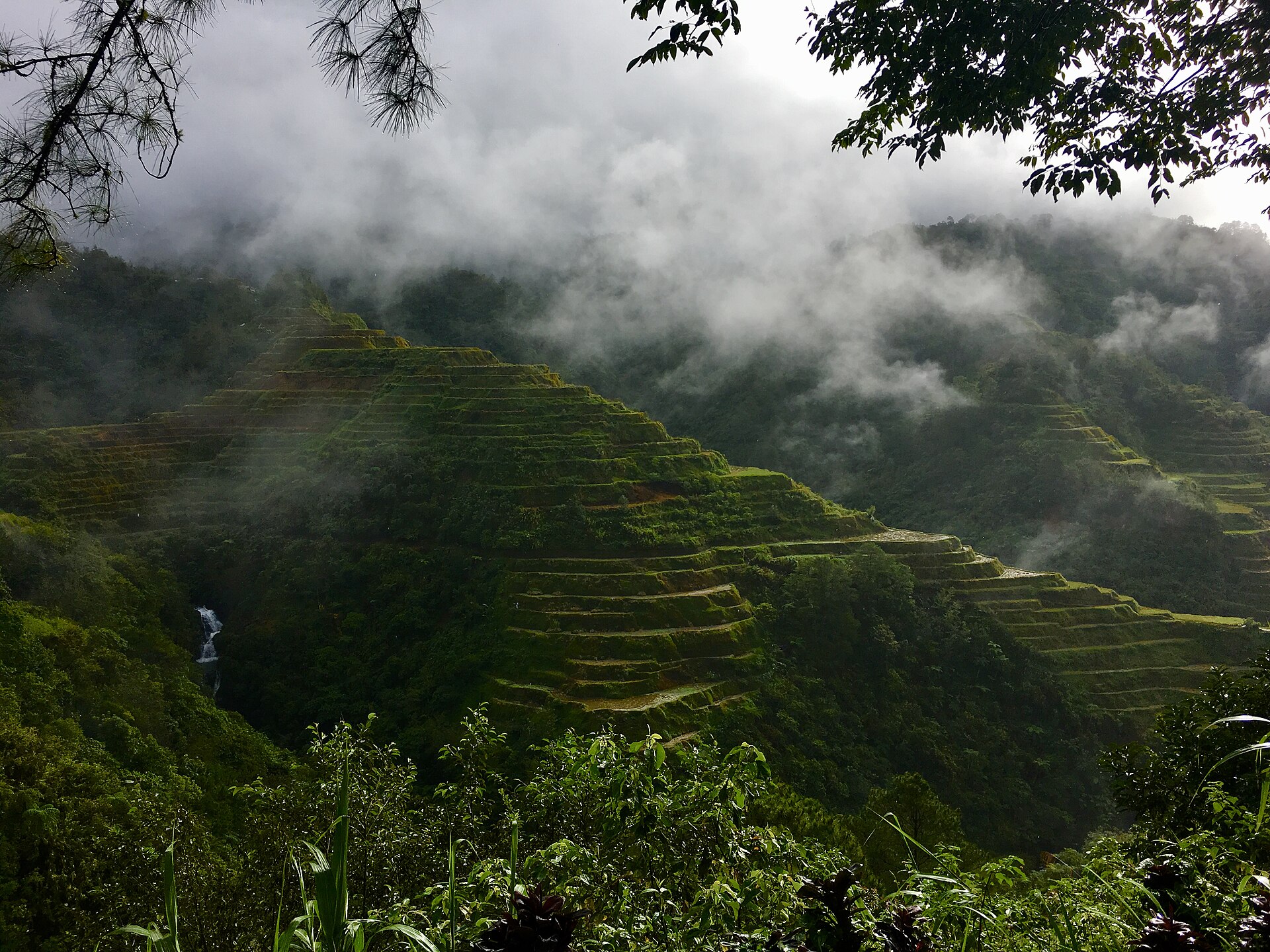 hike scenery for Banaue Rice Terraces Walk near Ifugao