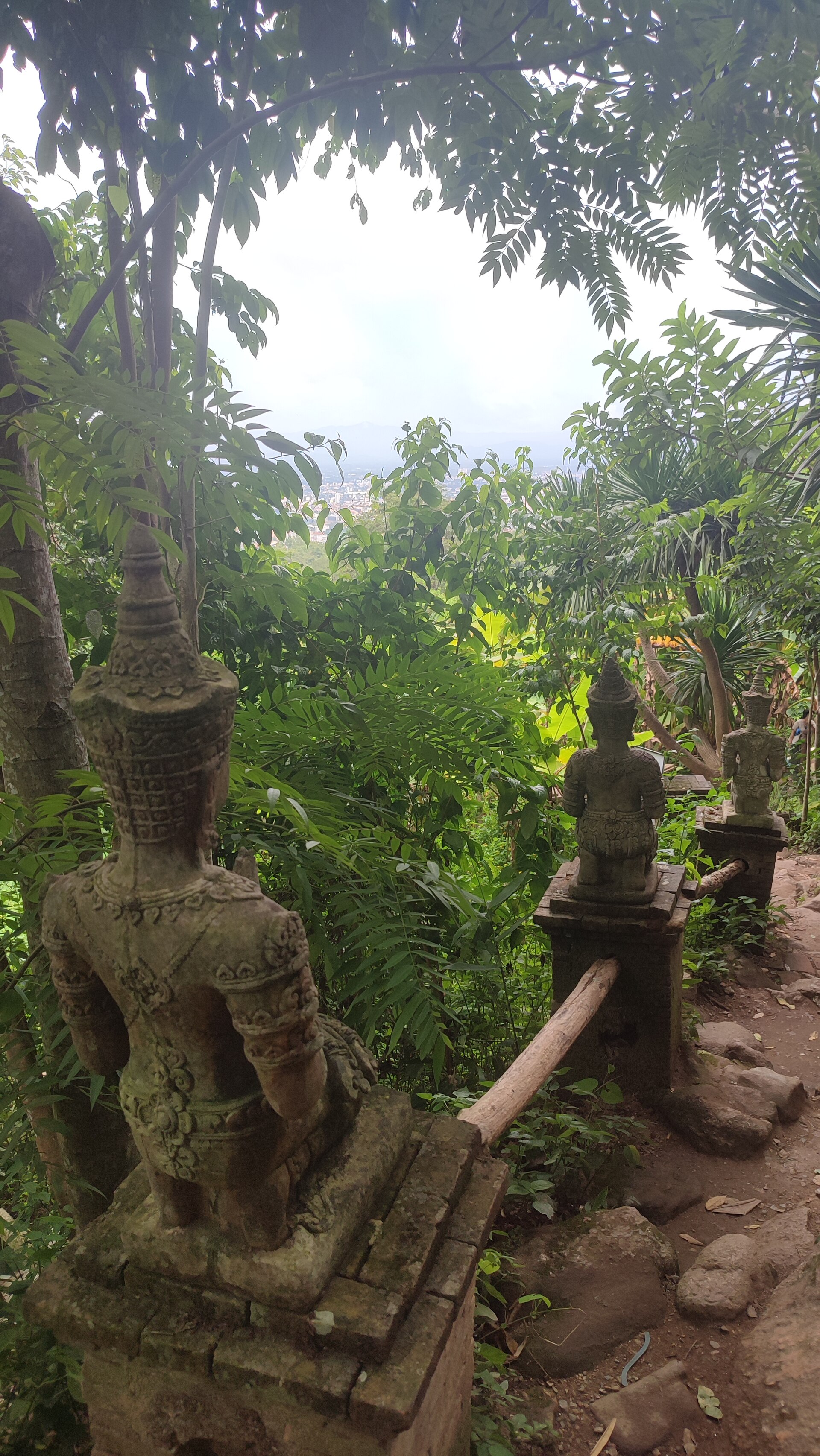 hike scenery for Chiang Mai Monk's Trail near Chiang Mai