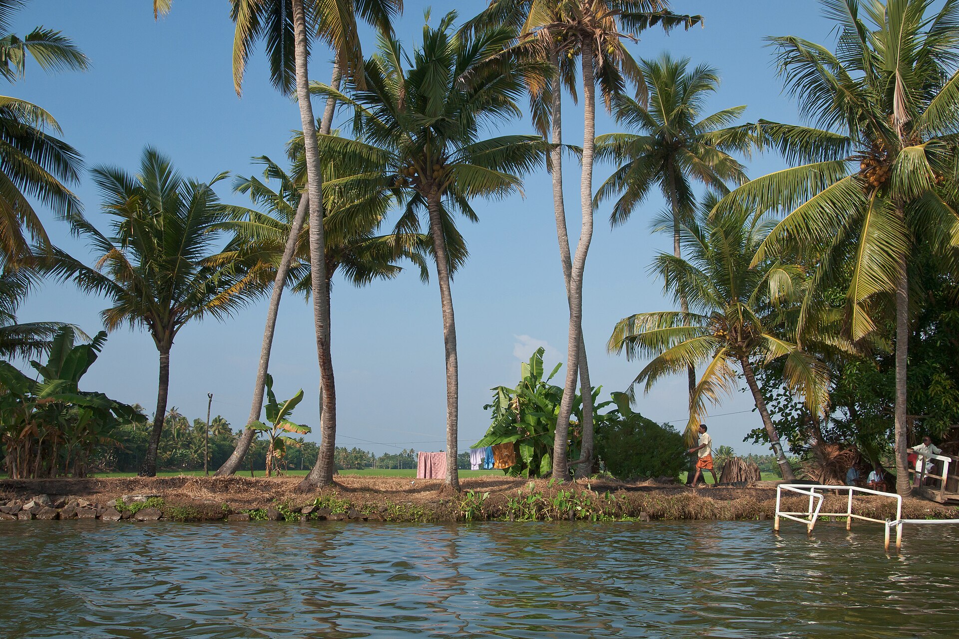 canoe trip scenery for Kerala Backwaters near Alappuzha