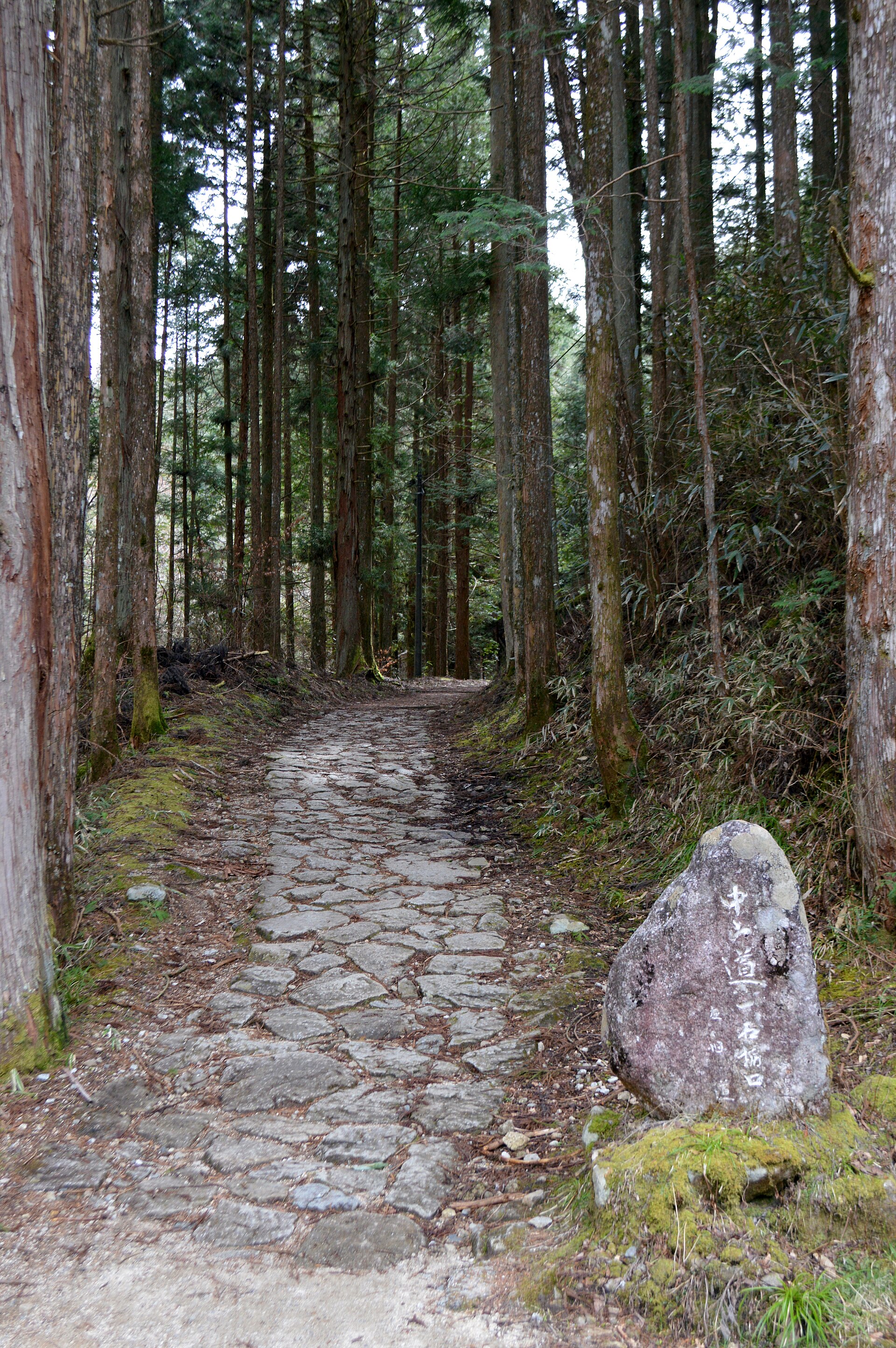 hike scenery for Nakasendo Magome to Tsumago near Kiso Valley