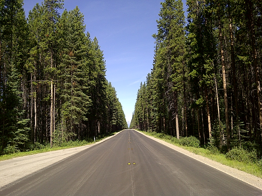 bike ride scenery for Bow Valley Parkway Ride near Alberta