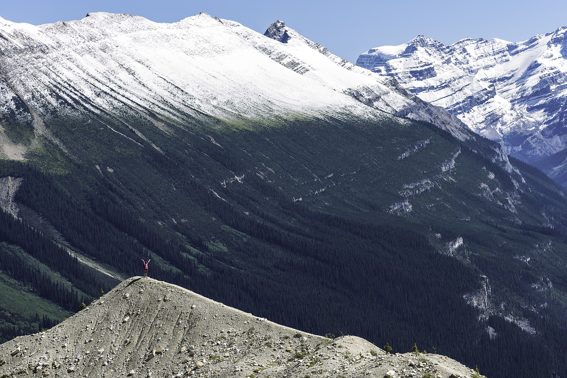 hike scenery for Iceline Trail near Yoho, British Columbia