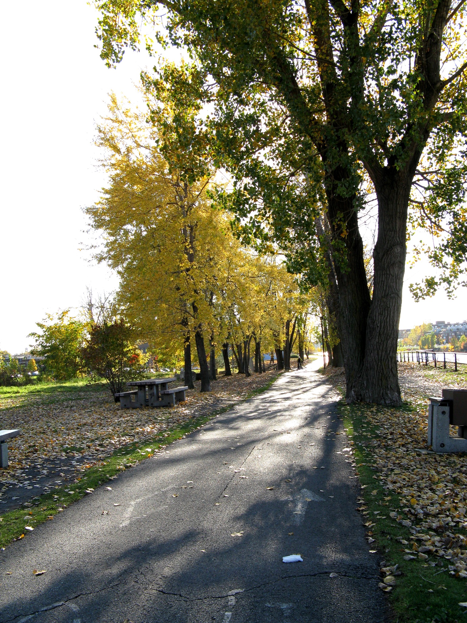 bike ride scenery for Lachine Canal Bike Path near Montreal, Quebec