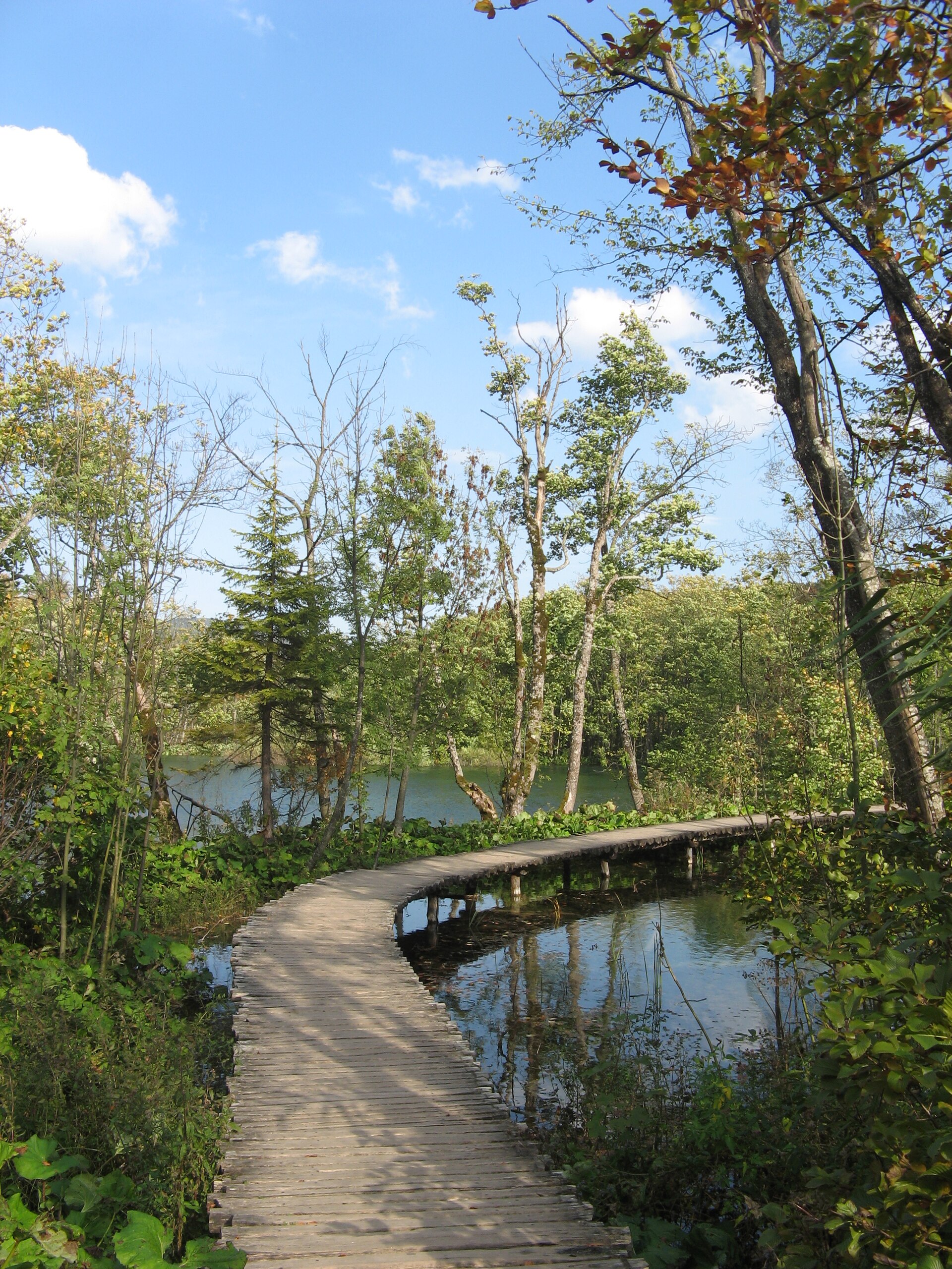 hike scenery for Plitvice Lakes Boardwalk near Plitvice Lakes