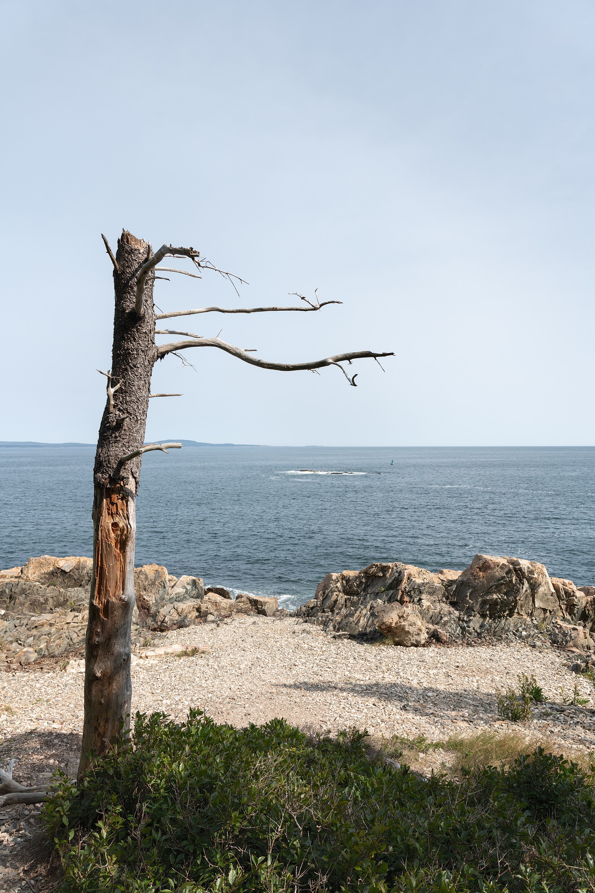 hike scenery for Acadia Ocean Path near Maine