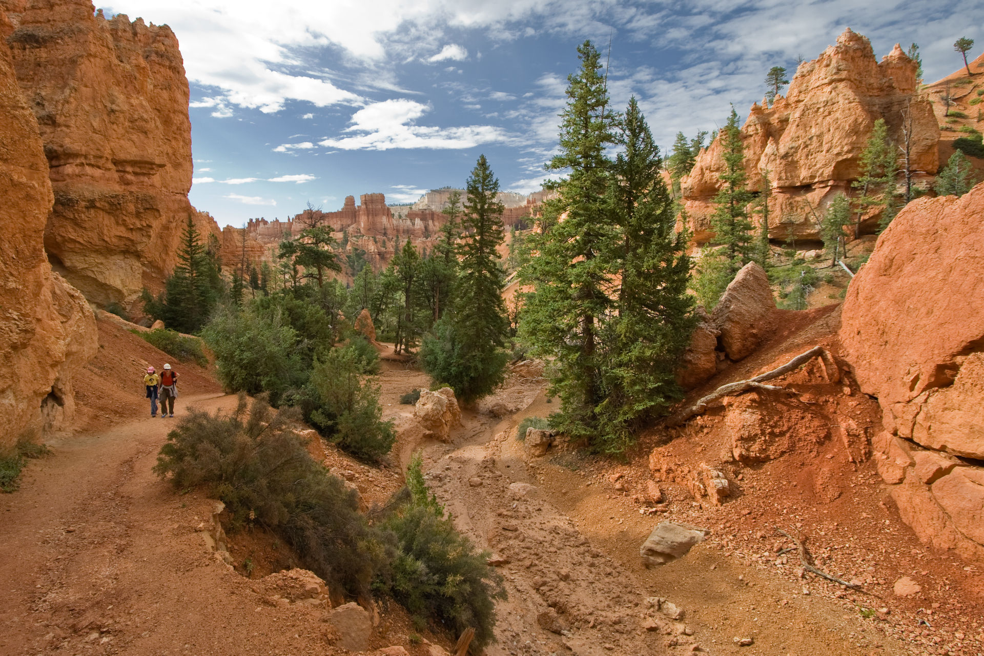 hike scenery for Bryce Canyon Navajo Loop near Utah