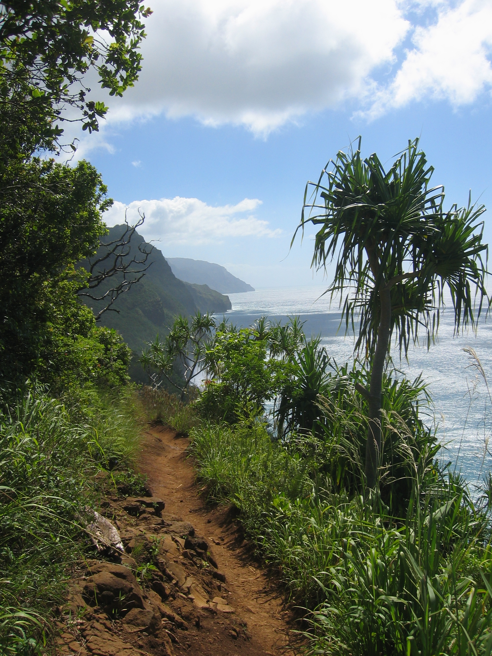 hike scenery for Kalalau Trail First Miles near Hawaii