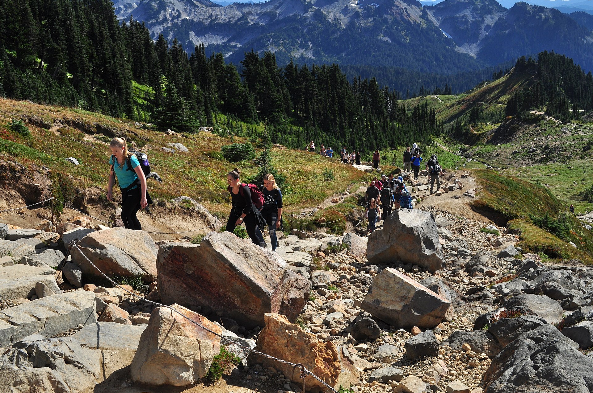 hike scenery for Mount Rainier Skyline Trail near Washington