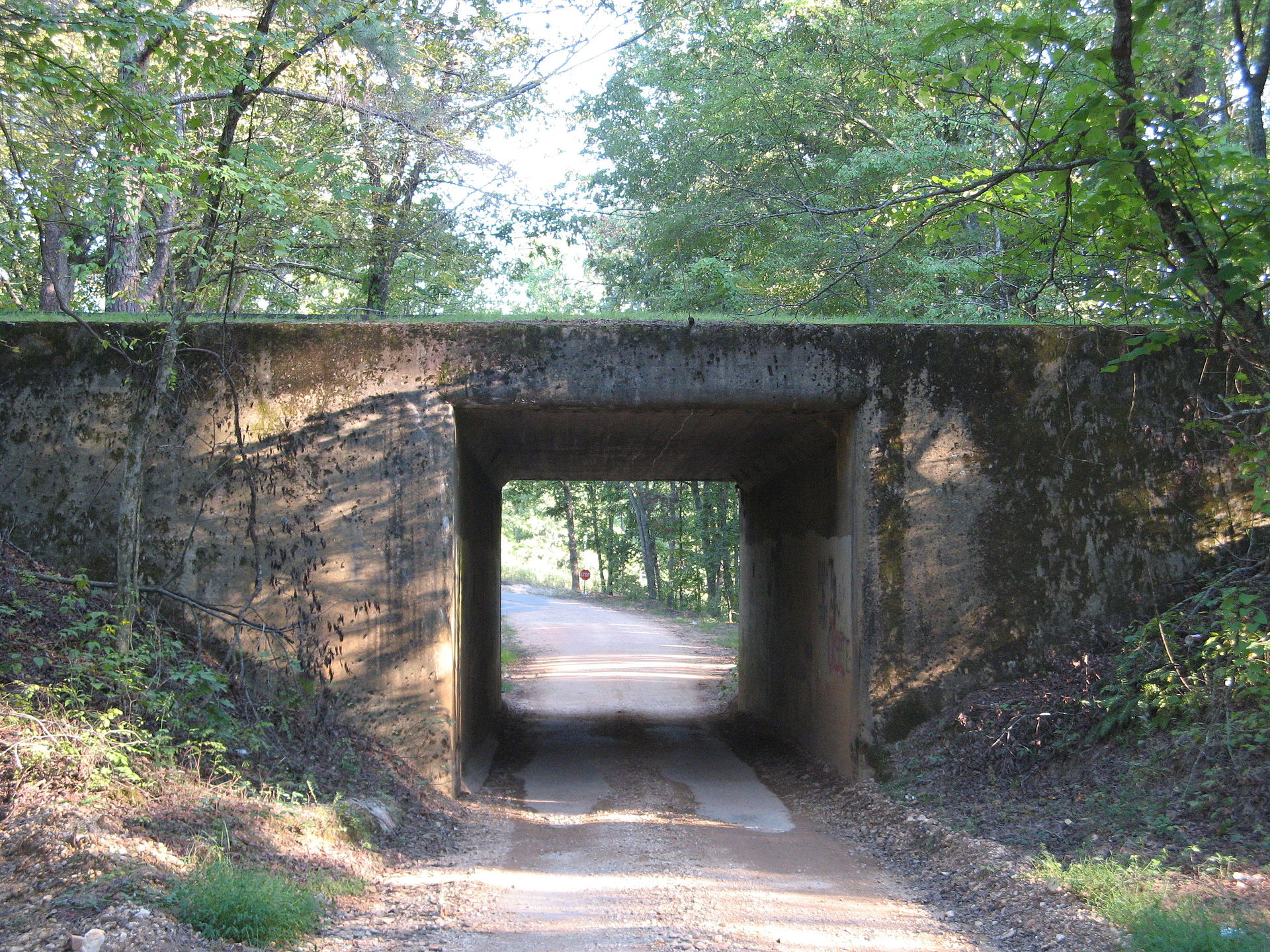 bike ride scenery for Natchez Trace Parkway Ride near Tennessee